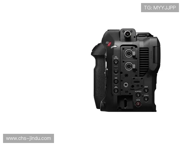 尊龙z6手机版支持多平台同步操作实现便捷娱乐体验