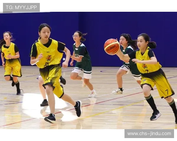 巴沙体育：融合科技与体育的创新模式助力运动健康普及